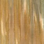Moda 4501 50
